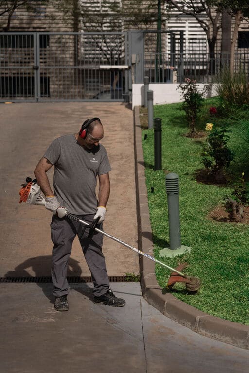 limpieza de jardines