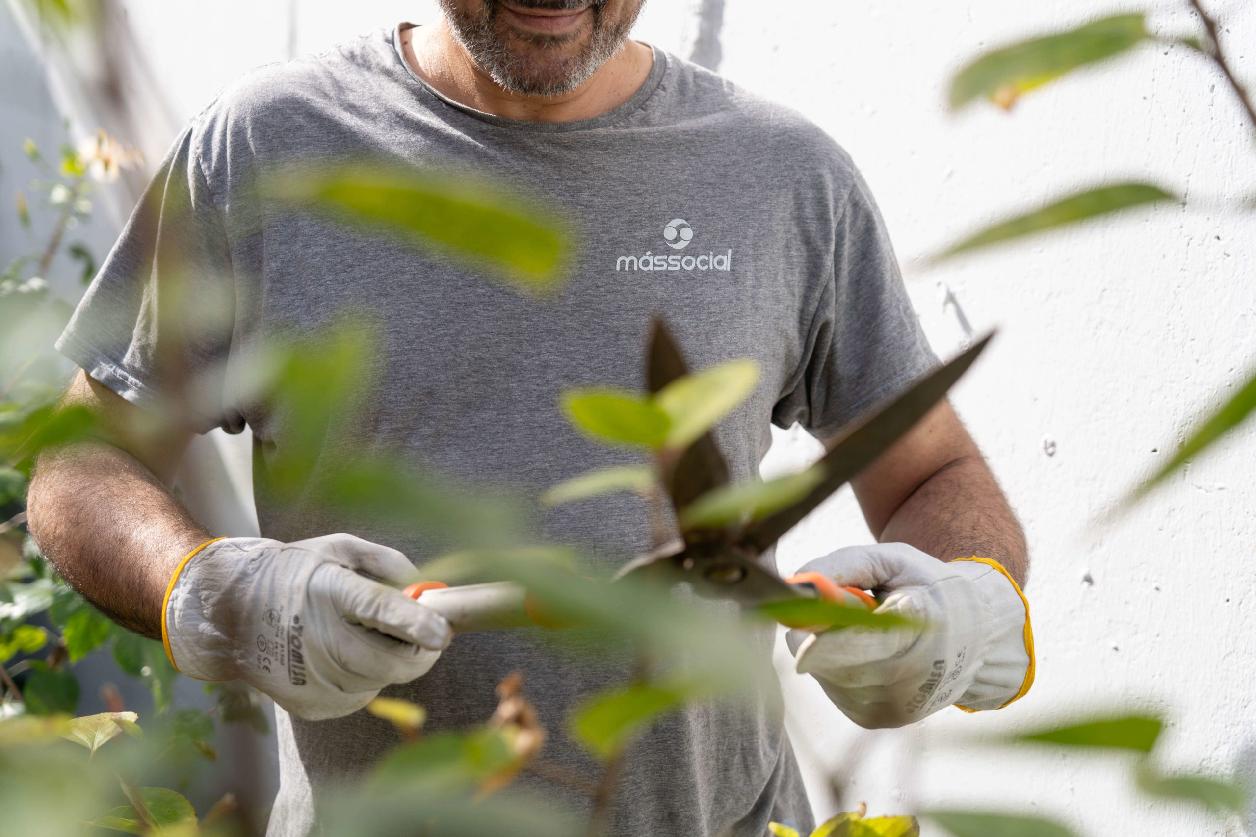 Cómo preparar tu jardín para el invierno