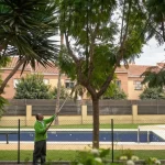 como-proteger-tu-jardin-de-lluvias-primaverales