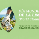 dia mundial de la limpieza